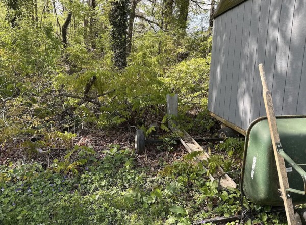 Yard Waste Removal in Durham, NC (1)